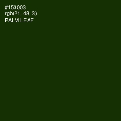 #153003 - Palm Leaf Color Image